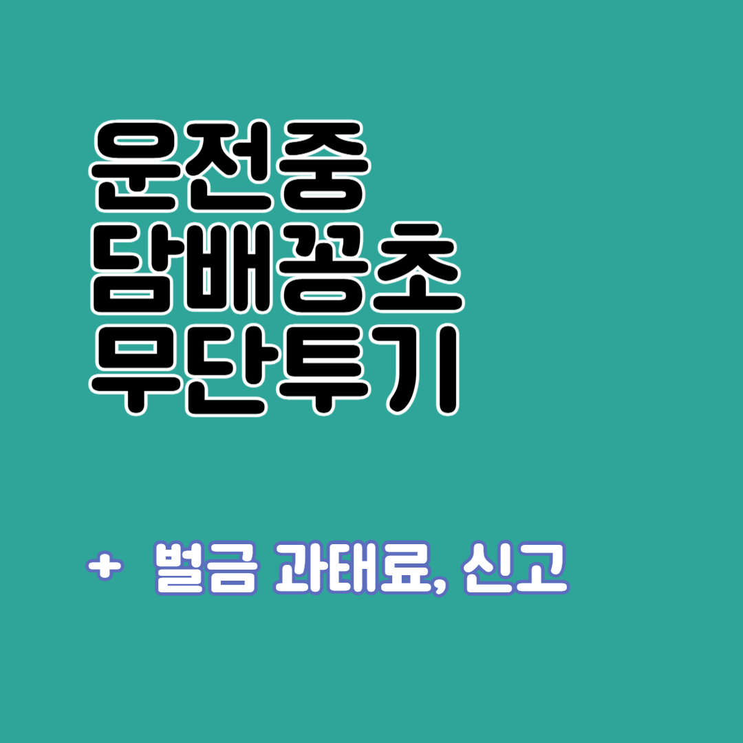 운전 중 담배꽁초 무단투기