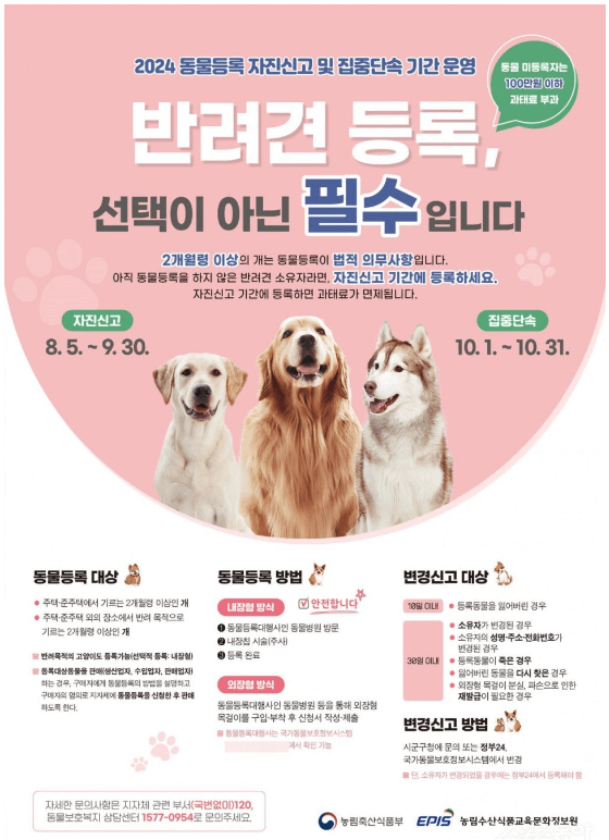 반려동물등록제