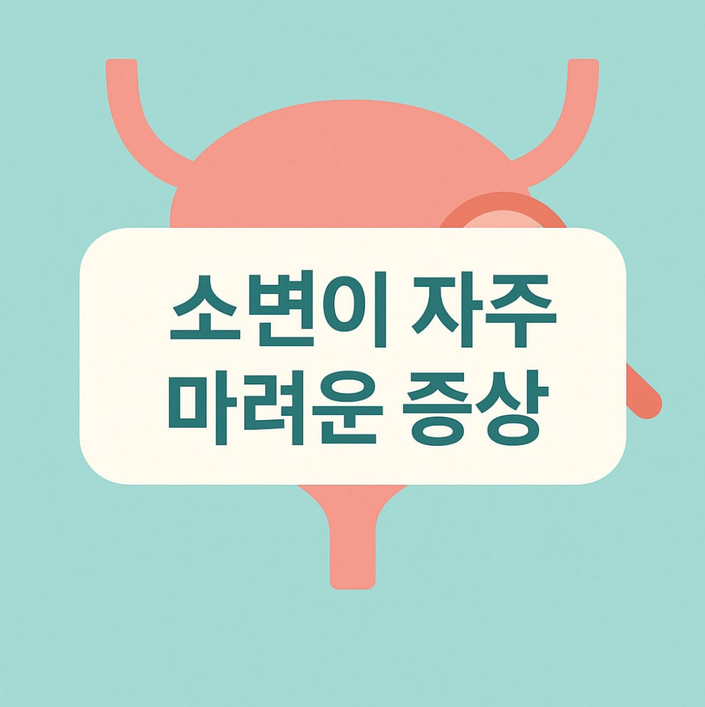 소변이 자주 마려운 증상