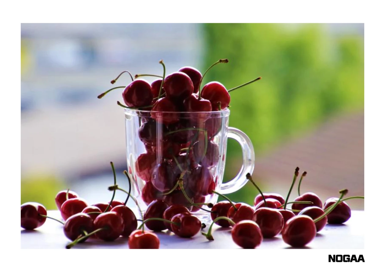 농식품바우처 카드