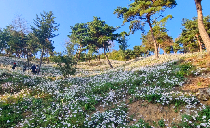 하얀 눈이 내린듯한 구절산을 거니는 사람들