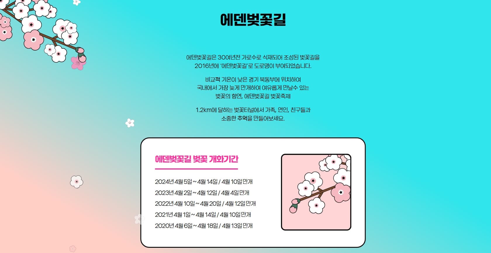 [지역 축제]가평 에덴벚꽃길 벚꽃축제❘축제 기간, 일정, 체험 행사, 먹거리, 포토존