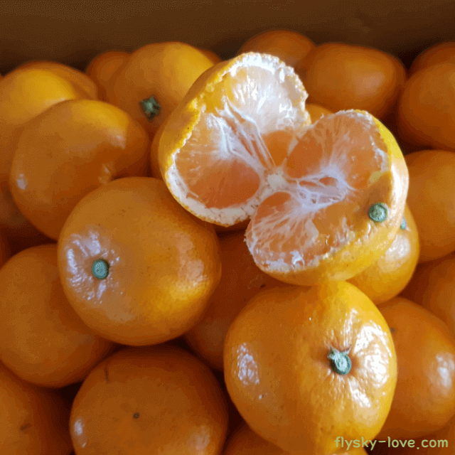 새콤달콤 귤의 효능