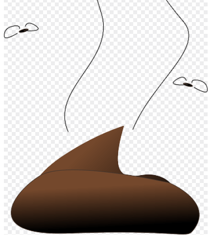 다른 사람이 똥 싸는 (대변 보는) 걸 보는 꿈해몽 상징 이미지