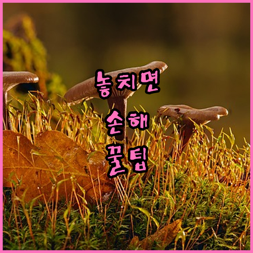 독감 예방접종 무료 지원: 자격 요건..