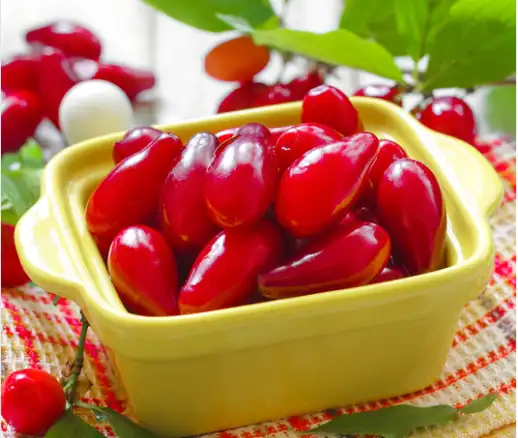 산수유 효능효과 먹는 방법과 부작용