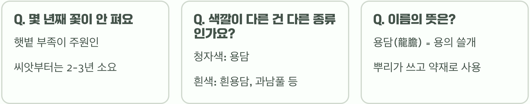 초보 정원사를 위한 용담꽃 키우기, 씨앗 파종부터 월동까지 A to Z
