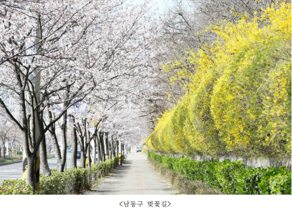 벚꽃명소