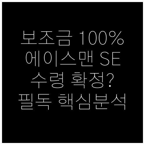 미니 에이스맨 SE 전기차 보조금 1..