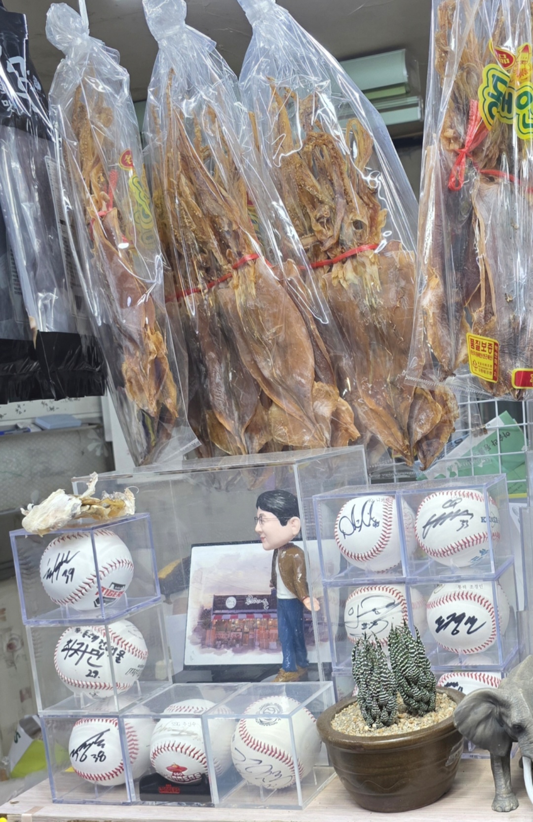 강릉 동해건어물 야구선수 싸인볼 전시