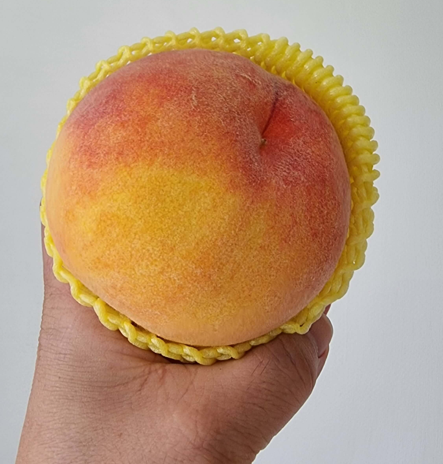 복숭아 들고 있다