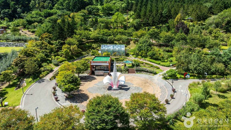 [강원도 여행지 추천] 홍천 가볼만한 곳 베스트 10 무궁화수목원