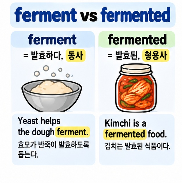 ferment와 fermented의 차이를 김치와 반죽 예문으로 설명한 카드