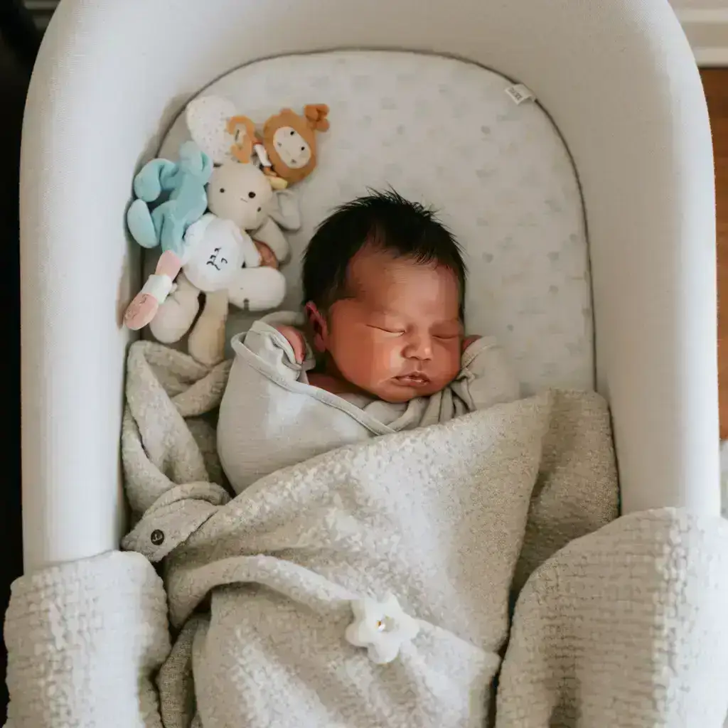 입양비용 지원 신청 방법