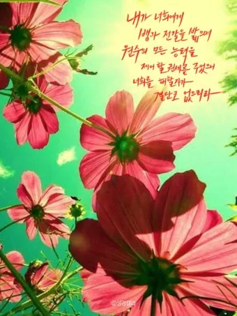 매일성경묵상과 실천(누가복음 10장 25-42절) 누가 내 참된 이웃입니까?_24