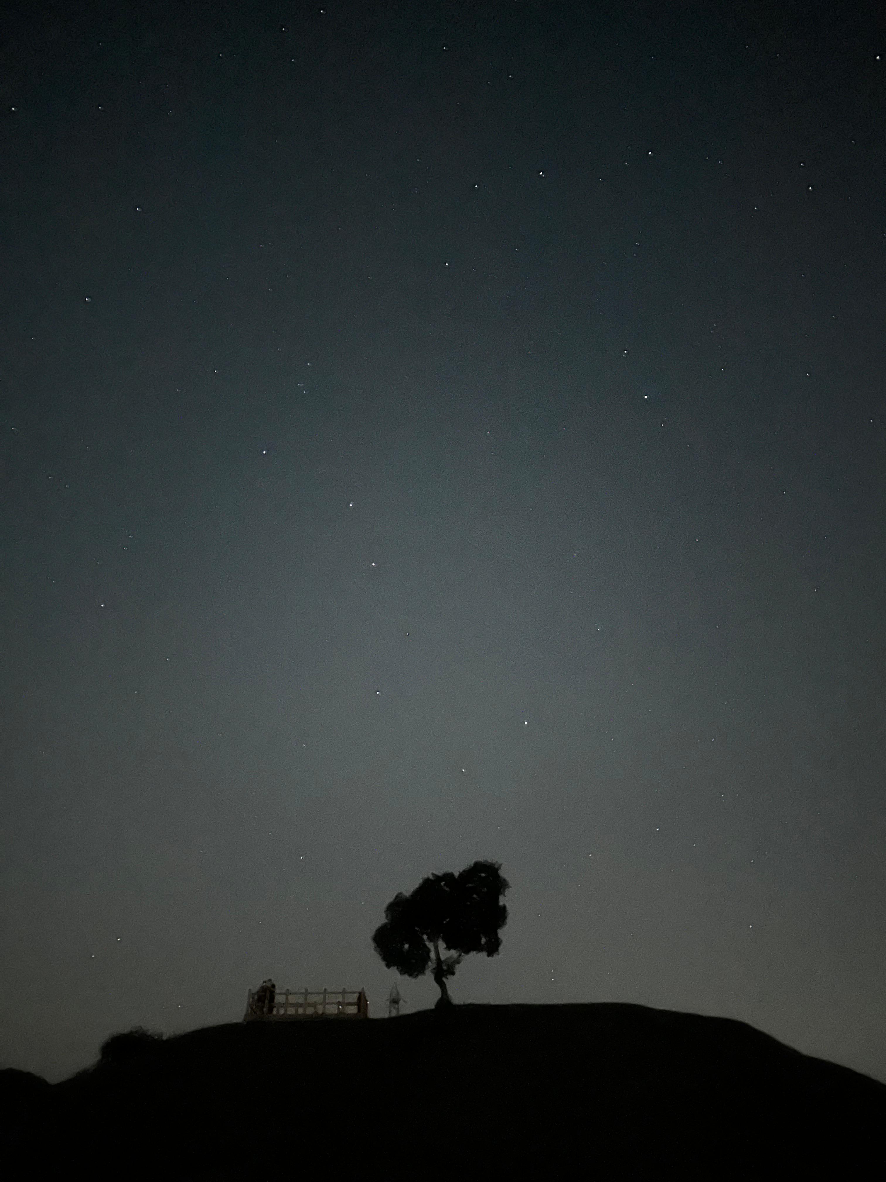 당포성의 밤 풍경, 전망대와 팽나무