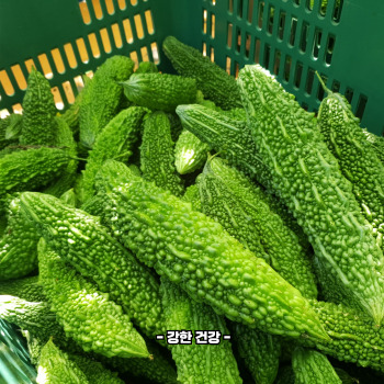 여주 영양성분