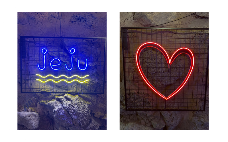 제주 휴애리 수국! 7월 여름 감성 여행 완벽 가이드