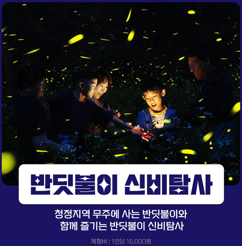 무주반딧불축제 체험프로그램