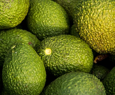 당뇨에 좋은 음식 26