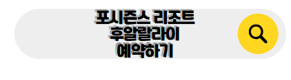 하와이 신혼여행