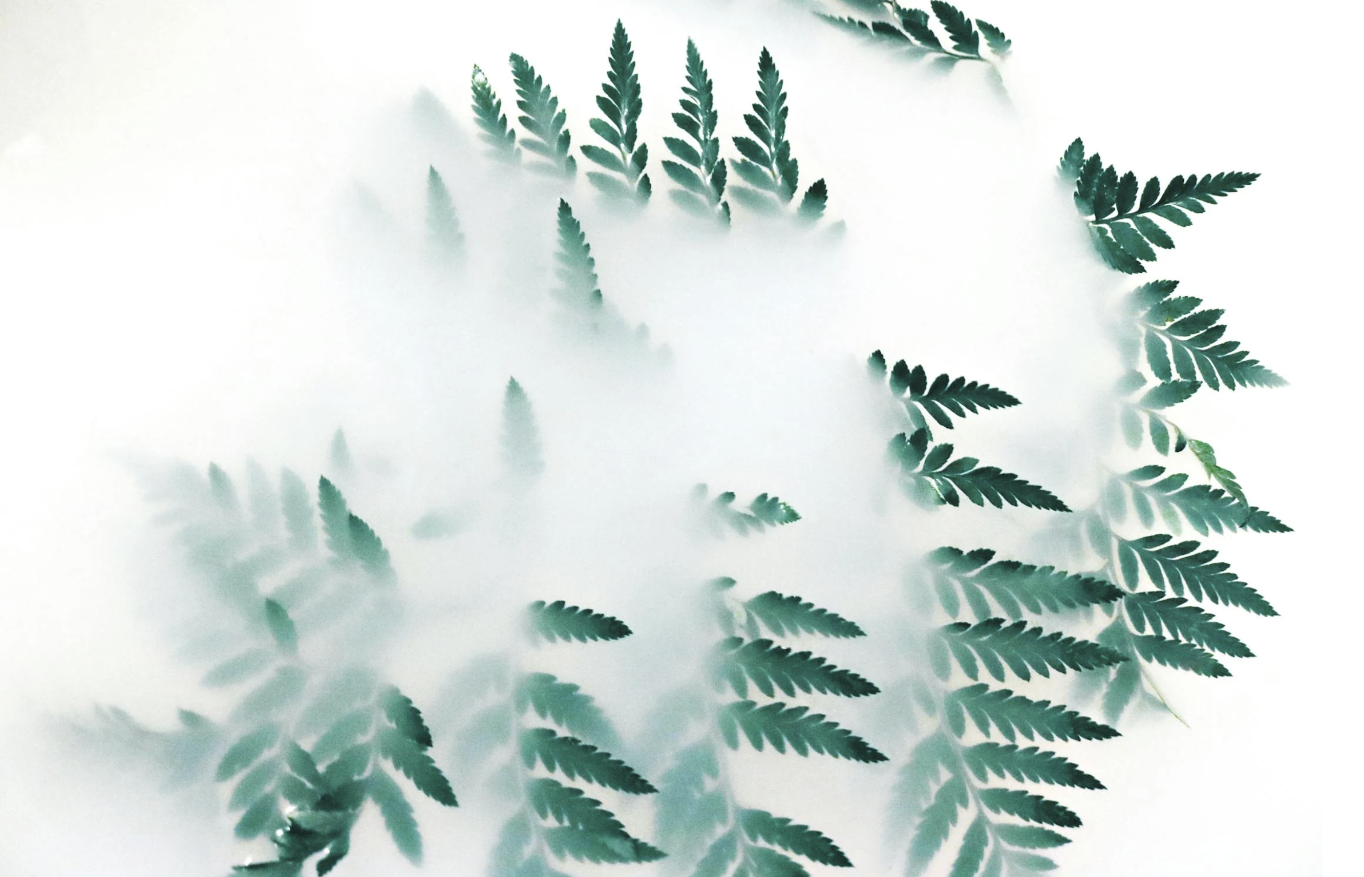 문학생태학과 생태비평