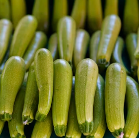 애호박 효능과 부작용 영양성분 고르는법 칼로리