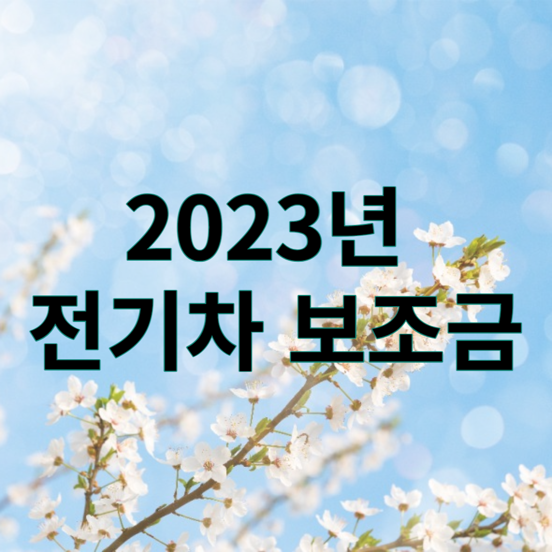 2023년 전기차 보조금
