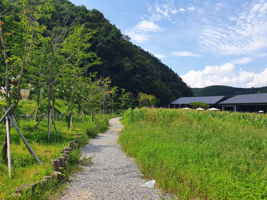 묵리 459 가는길