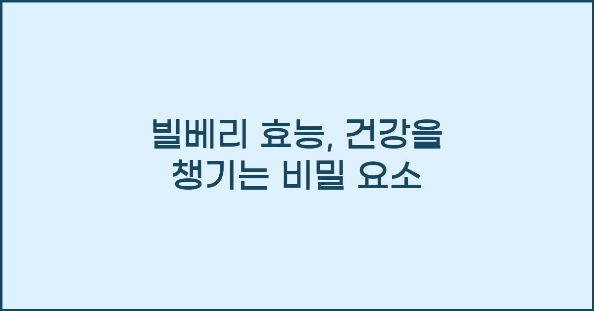 빌베리 효능