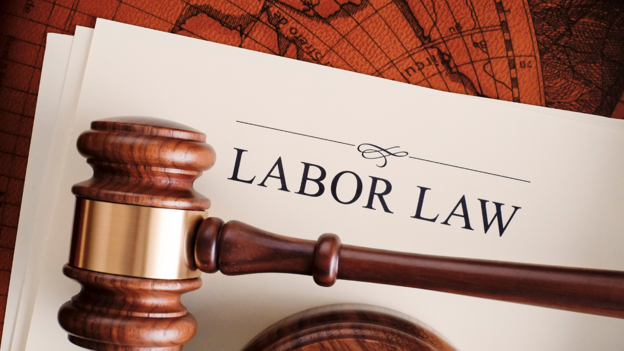 노란봉투법으로 인한 노동 선진화