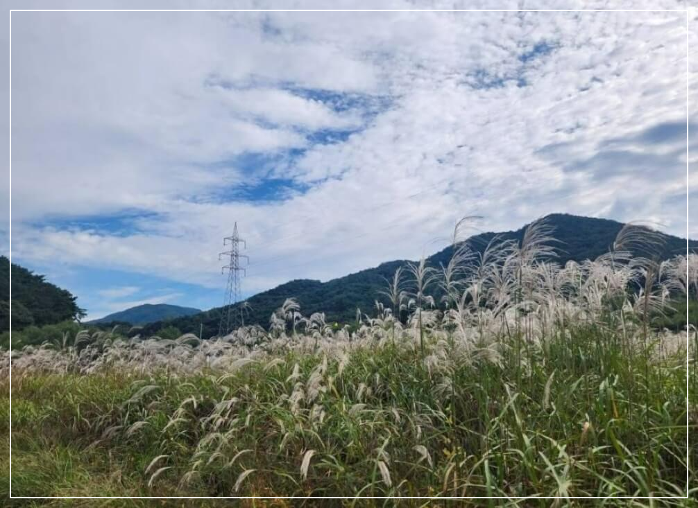 광주 가볼만한곳 베스트10 광주호 호수생태원 