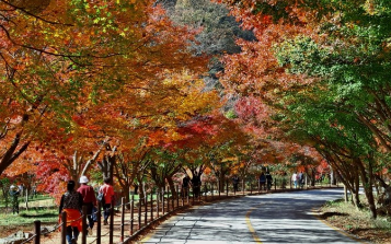 한국의 인기 명산 TOP 10