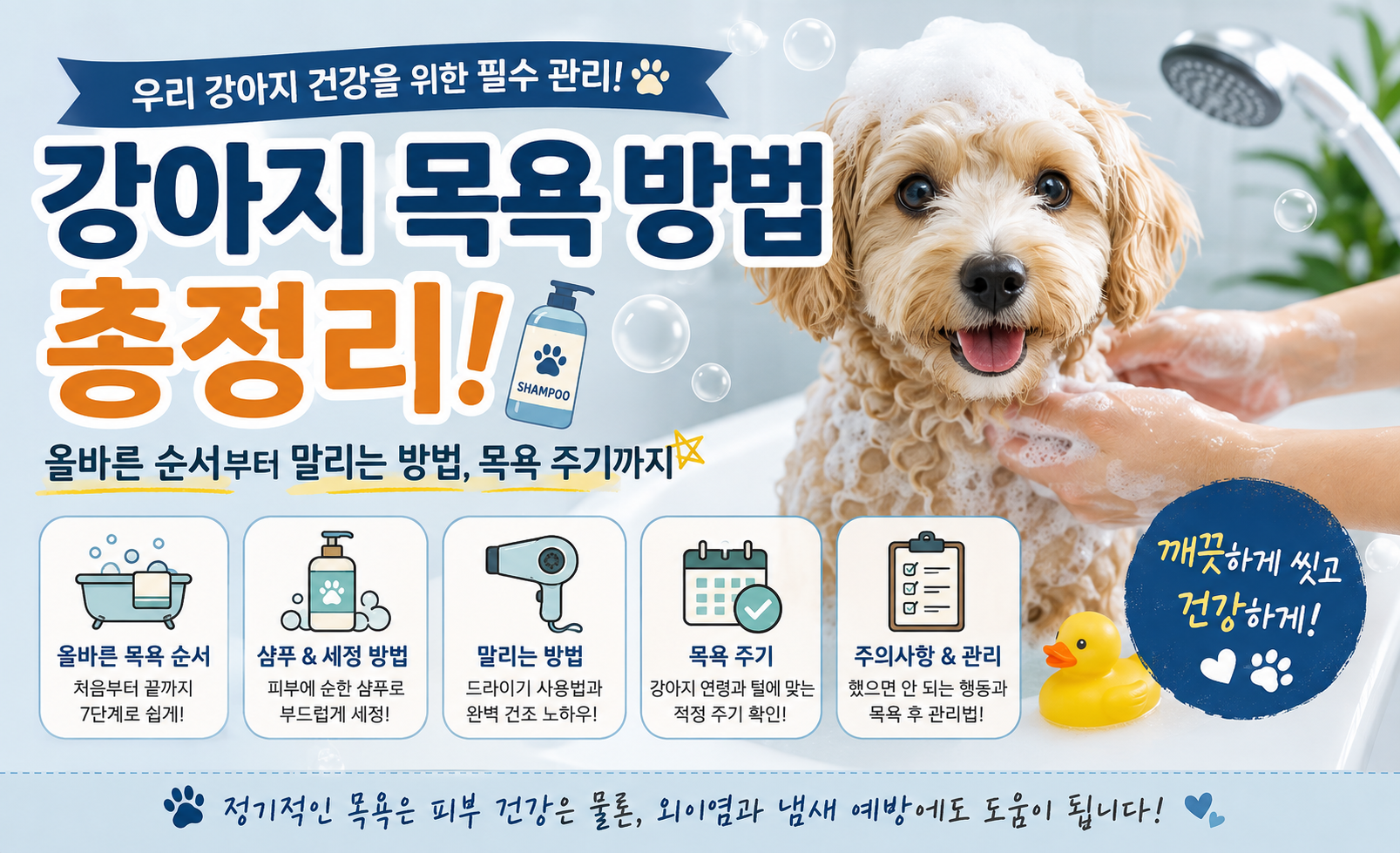 강아지 목욕 방법 총정리 대표 이미지, 강아지 목욕 순서, 강아지 샴푸 방법, 강아지 목욕 후 말리기, 강아지 드라이기 사용법, 강아지 목욕 주기, 새끼 강아지 목욕, 강아지 피부 관리, 외이염 예방