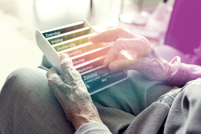 65세이상-교통비-혜택