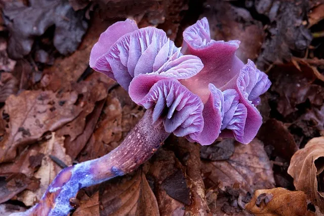 제습기 선물 제습량 연속배수 소비전력 장마철 실사용 후기 비교_8