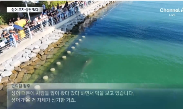부캉이