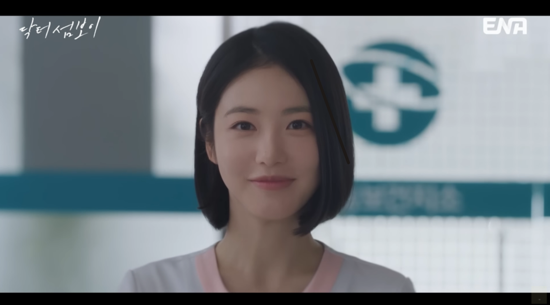 닥터 섬보이 공중보건의 도지의 편동도 보건지소 직업 정리