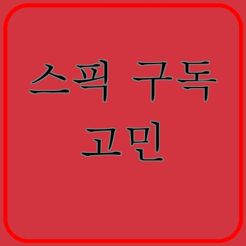 스픽 구독 고민이라고 쓰여있는 텍스트 이미지