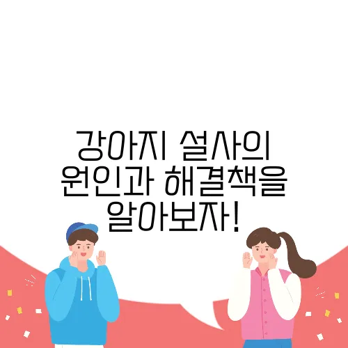 강아지 설사의 원인과 해결책을 알아보자!