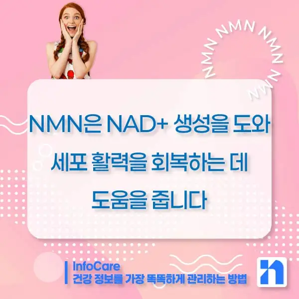 NMN 효능 효과 복용법