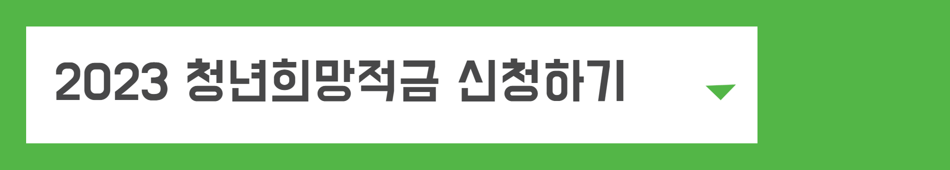 소상공인 정책자금