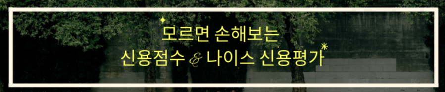 신용점수 관리방법