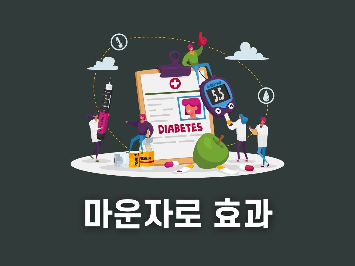 마운자로 효과