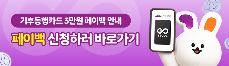 기후동행카드 3만원 페이백 신청