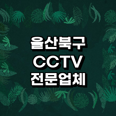 울산 북구 cctv