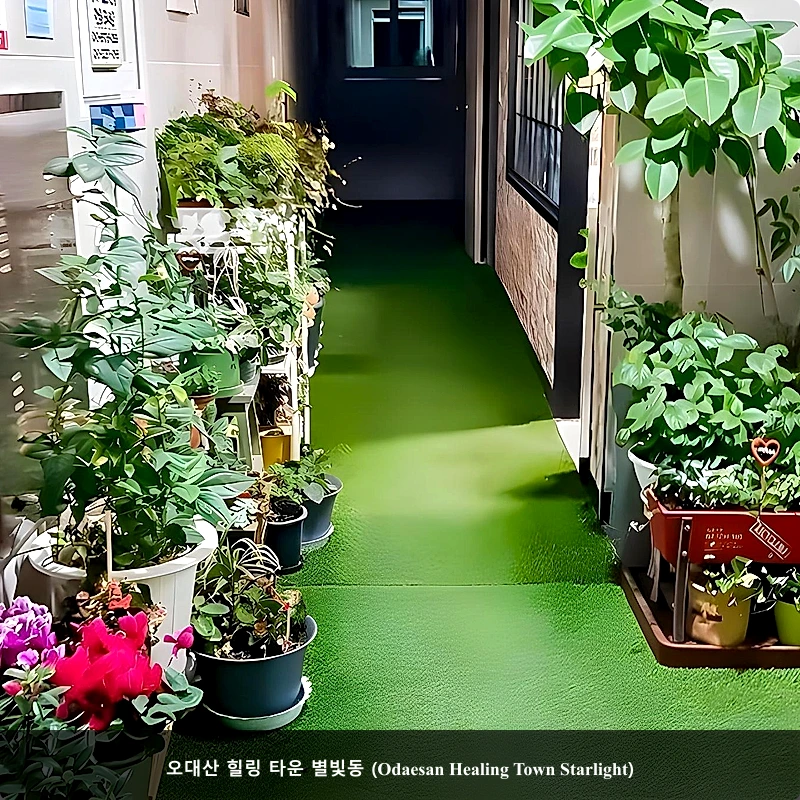 오대산 힐링 타운 별빛동 (Odaesan Healing Town Starlight)_1