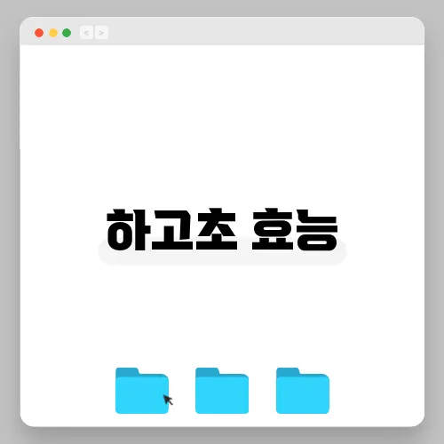 하고초 효능
