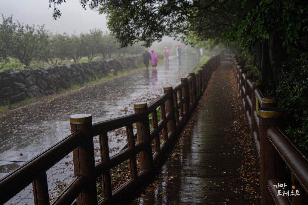 엉또 폭포 탐방로