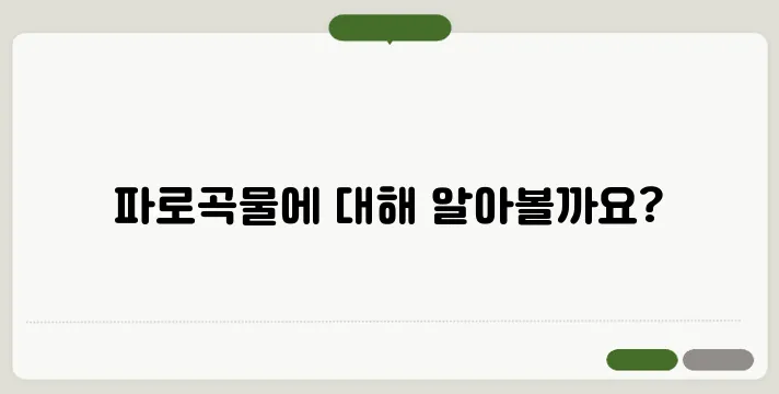 파로곡물이란? 효능과 섭취 방법 총정리